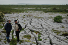 Sheshymore Limestone pavement exposes shallow water carbonates of the Brigantian, Slievenaglasha Formation. These classic kharstified exposures of tabular blocks of limestone pavement, Clints, are cut by vertical fractures, Grikes, which were widened by post glacial disolution (McNamara, & Hennessy, 2010). Fractures were intially established during Variscan folding (Coller, 1984).